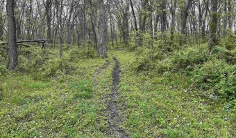 168 Th St, Albia, IA 52531