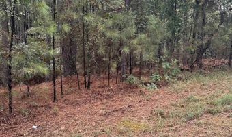 19 Pizarro Dr, Hot Springs Village, AR 71909