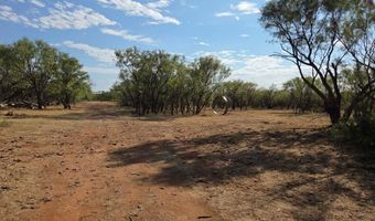 6525 US 180, Anson, TX 79501