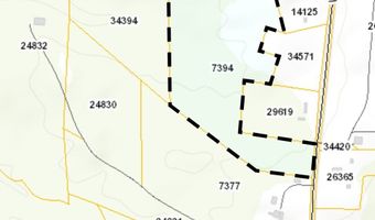 Wilkins Road, Alton, VA 24520