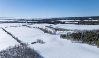 5 W BLAIR Rd, Alta, WY 83414