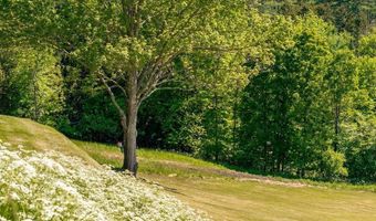 1586 Bent Hill Rd, Braintree, VT 05060