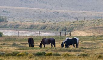 Sheep Mountain Road, Centennial, WY 82055
