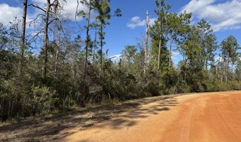 Grand Mesa Avenue, Alford, FL 32420