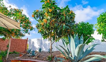 6433 La Paloma St, Carlsbad, CA 92009