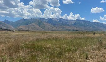 80 21 Acres A, Lamoille, NV 89828