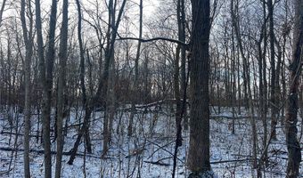 Lot 2 105th Street, Amery, WI 54001