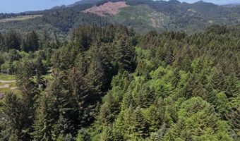 20452 Whaleshead Rd, Brookings, OR 97415