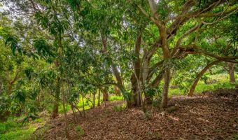APOPO RD, Kapaa, HI 96746