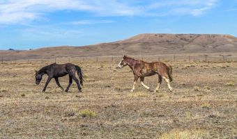 347 WILD HORSE Rnch, Laramie, WY 82070