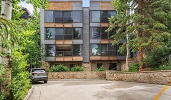 738 S Galena St 1-C, Aspen, CO 81611