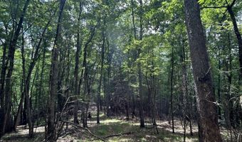281 Eclipse Ln, Arbovale, WV 24915