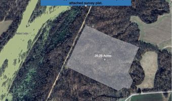 County Road 1320 lot Between County Roads 1324, Bardwell, KY 42023