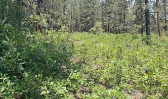 17 Snow Way Dr, Bayfield, CO 81122