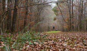 Maddox Road, Ackerman, MS 39735