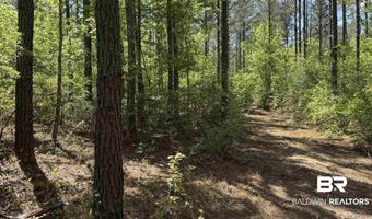 Ronald Sanks Road, Bay Minette, AL 36507