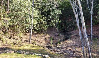 820 Beaver Crk, Andrews, NC 28901