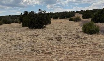 78 County Road 8010, Concho, AZ 85924