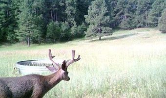28111 County Rd 41.4, Aguilar, CO 81020