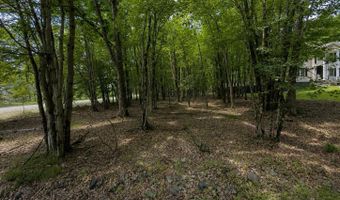 Antler Trail Lot 421, Albrightsville, PA 18210