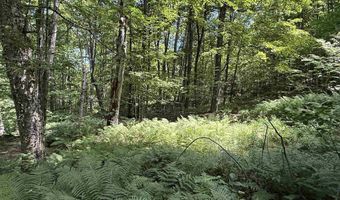 392 Sicard Rd, Brookfield, VT 05036