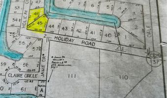 55730 HOLIDAY Cir, Astor, FL 32102