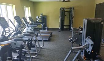 721 Vine Pond Ct, Apex, NC 27523