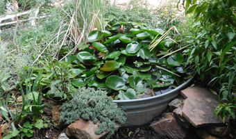 21 Temby Ave, Bisbee, AZ 85603