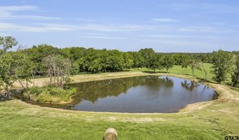 365 County Road 1534, Alba, TX 75410