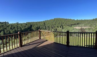 1041 HARMONY CREEK Dr, Afton, WY 83110