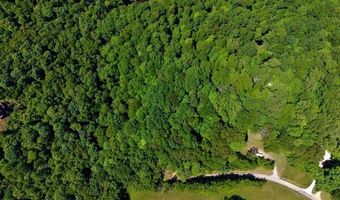 Charlie Melton Rd, Allons, TN 38541