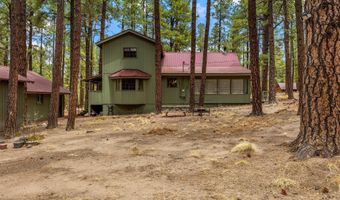 8 County Road 2267, Alpine, AZ 85920