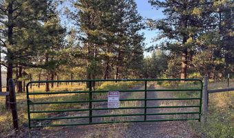 Tbd Harlow Ridge Rd - Cloverland Estates 35, Asotin, WA 99402
