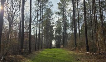 U.S. Highway 51, Bogue Chitto, MS 39629