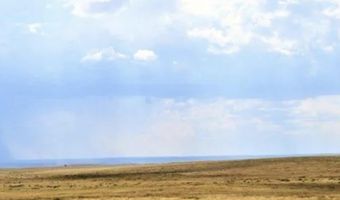 207-53 006 Bell Brand Rnch, Chambers, AZ 86502