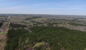 Hwy 9 S, Blue Springs, MS 38828