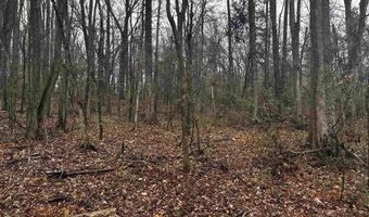 67 Old Wire Rd, Atkins, AR 72823