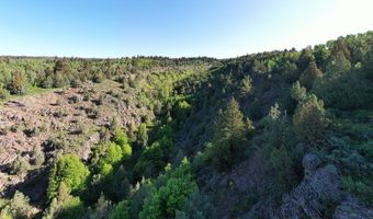 1703 Mountain Laurel Dr, Ashton, ID 83420