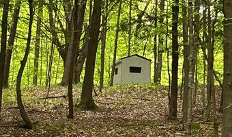 9196 NW Manley Rd, Alden, MI 49612