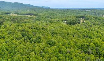 Ahart Ridge Rd lot 58 60 61, Ararat, VA 24053