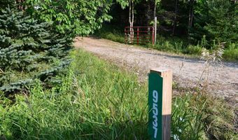 9537 LAKEVIEW Rd, Alanson, MI 49706