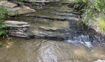 2335 Warrior Valley Rd, Altoona, AL 35952
