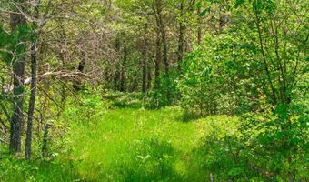 1042 14th Ave, Arkdale, WI 54613
