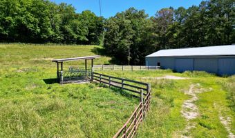 1235 Long Branch-Land, Beattyville, KY 41311