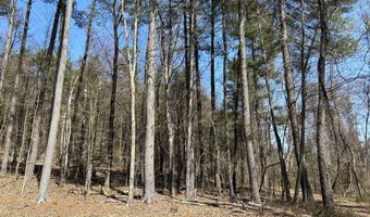 TALLMAN HOLLOW ROAD LOT #4, Montoursville, PA 17754