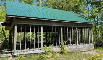 5436 Valley Rd, Alanson, MI 49706