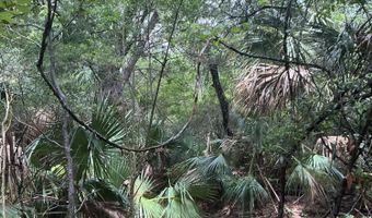 8 Leopard Frog Ct Lot 18, Bald Head Island, NC 28461
