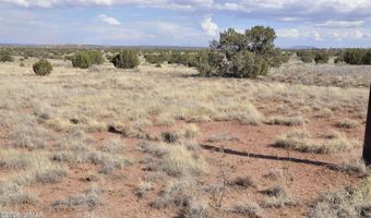 10 N9228, Concho, AZ 85924
