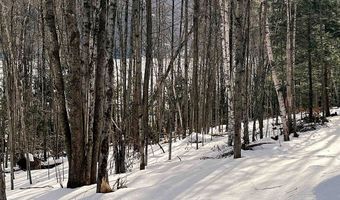 0 Duck Pond Rd, Barton, VT 05822
