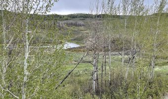 Tbd FISHERMAN CREEK / CHIPPEWAUGH Road, Bondurant, WY 82922